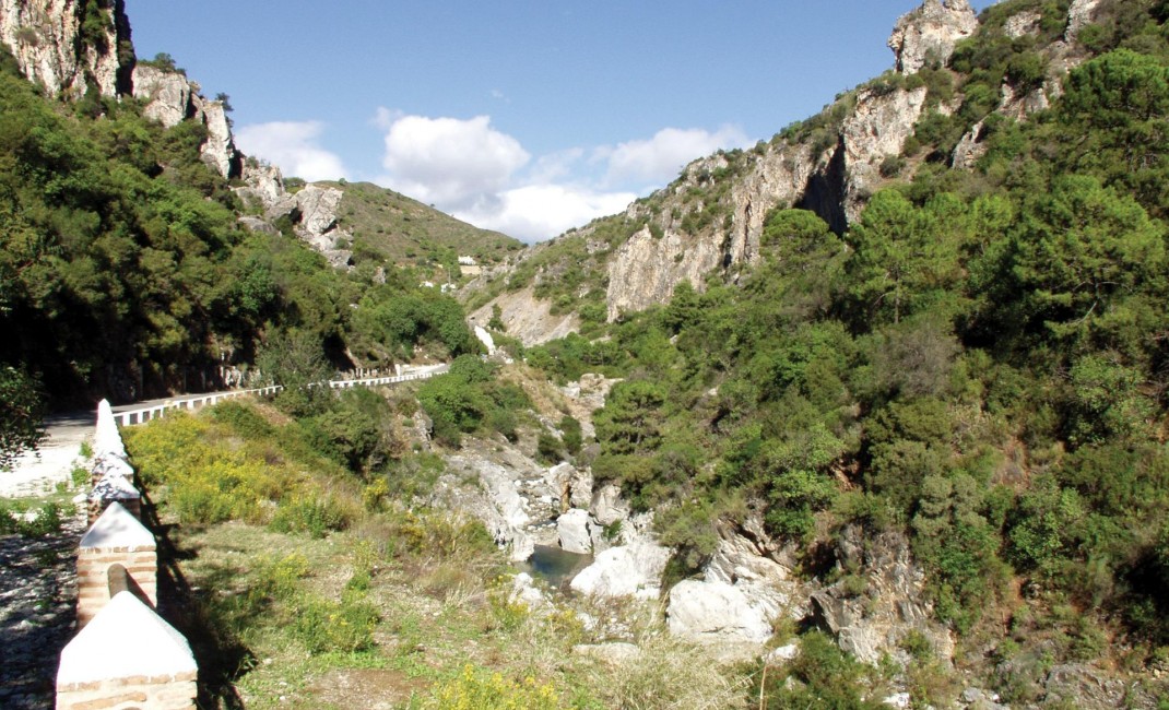 New Build - Apartment - Benahavis - Benahavís