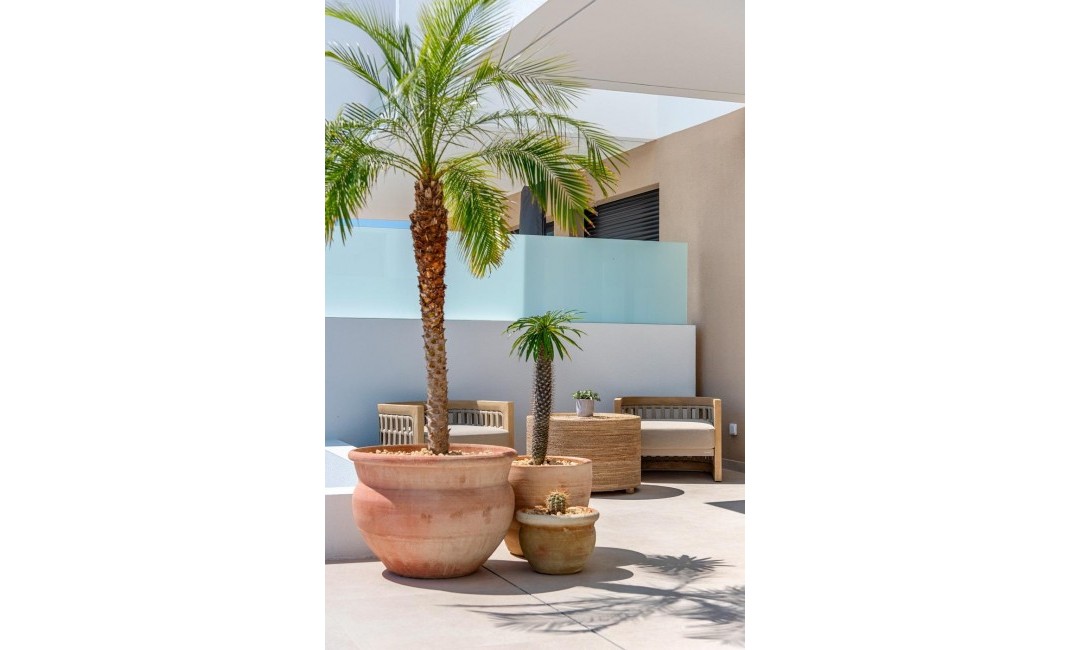 New Build - Townhouse - Dolores - dolores