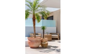 New Build - Townhouse - Dolores - dolores