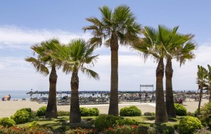 New Build - Ground floor apartment - Mijas