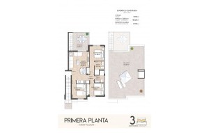 New Build - Apartment - San Miguel de Salinas