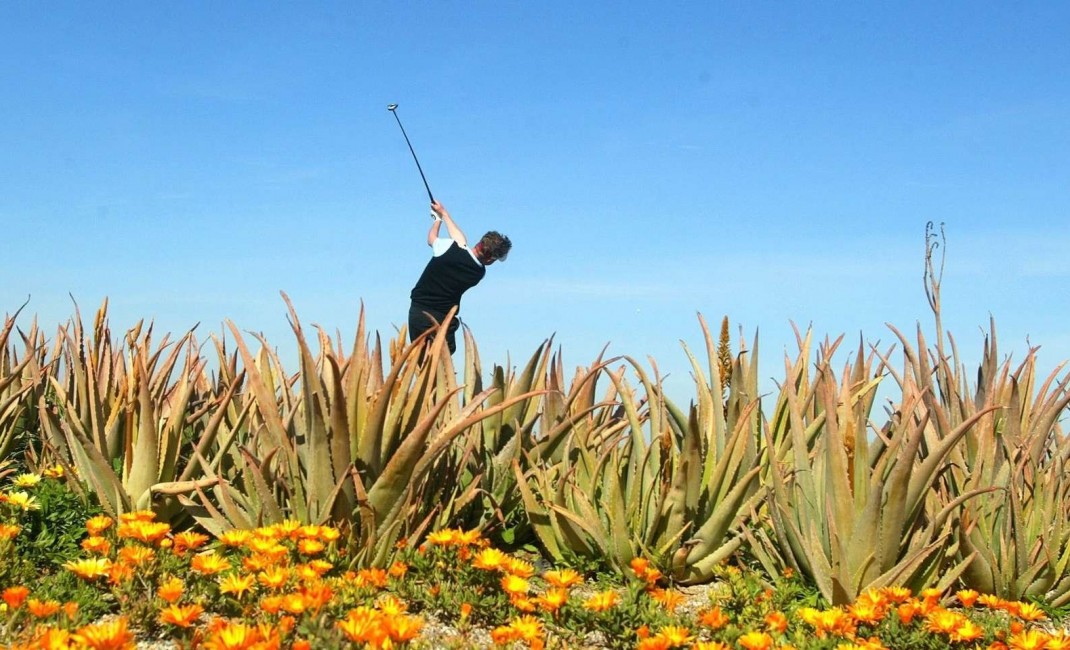 Nouvelle construction - Villa - Cuevas del Almanzora - Villaricos