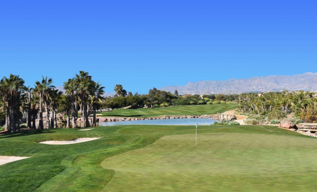 Nouvelle construction - Villa - Cuevas del Almanzora - Villaricos