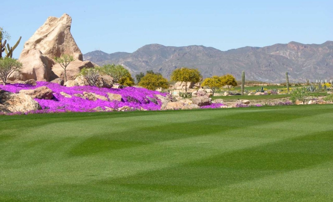 Sale - Villa - Cuevas del Almanzora - Villaricos