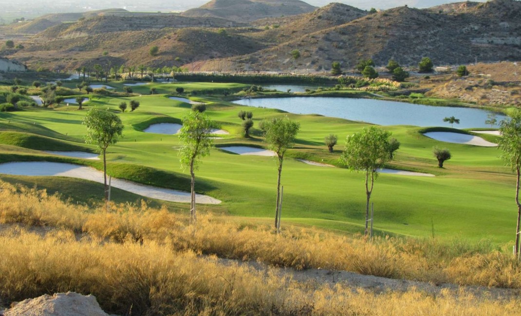 Nouvelle construction - Semi-detached - Monforte del Cid - Font del llop