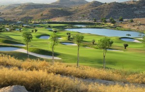 Nouvelle construction - Semi-detached - Monforte del Cid - Font del llop