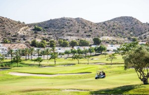 Nouvelle construction - Semi-detached - Monforte del Cid - Font del llop