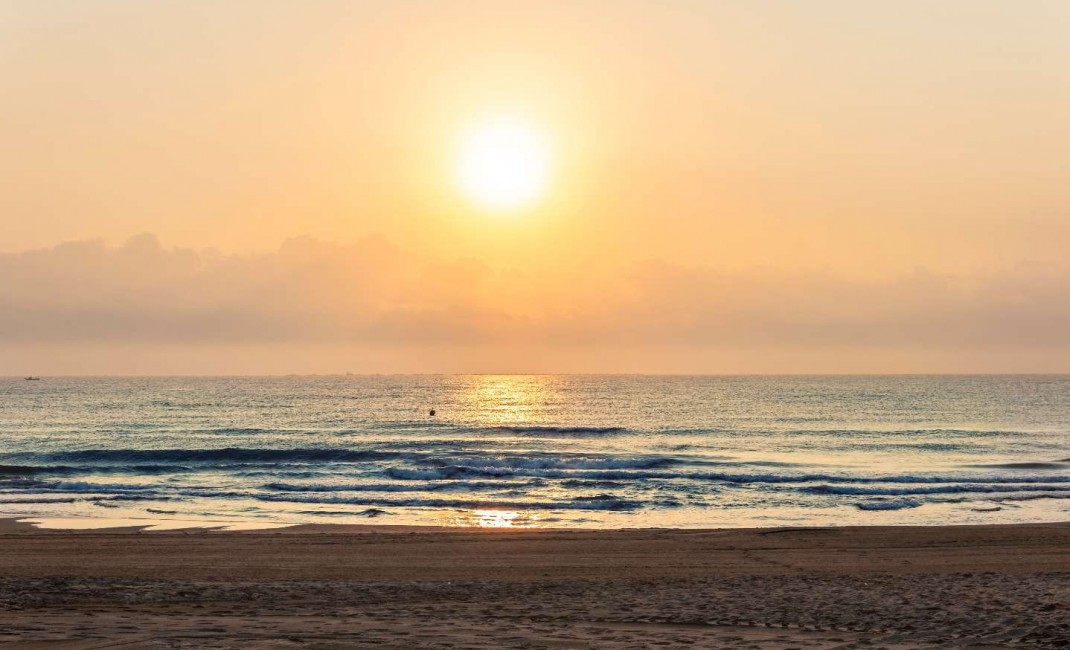 Nouvelle construction - Appartement - Guardamar del Segura - guardamar del segura