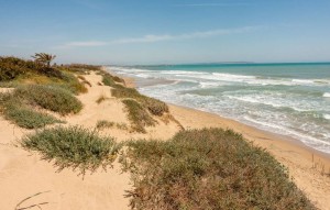 Nouvelle construction - Appartement - Guardamar del Segura - guardamar del segura