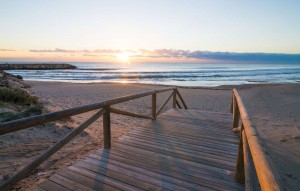 New Build - Apartment - Guardamar del Segura - guardamar del segura