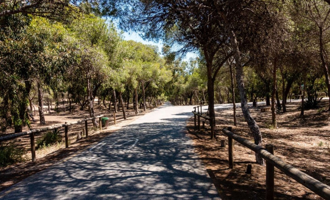 New Build - Apartment - Guardamar del Segura - guardamar del segura