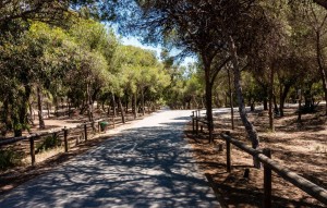 New Build - Apartment - Guardamar del Segura - guardamar del segura