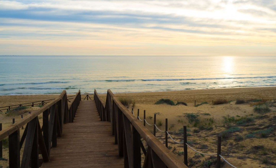 New Build - Apartment - Guardamar del Segura - guardamar del segura