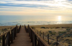 New Build - Apartment - Guardamar del Segura - guardamar del segura