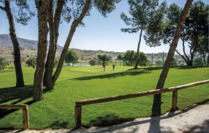 Nouvelle construction - Ground floor apartment - Monforte del Cid