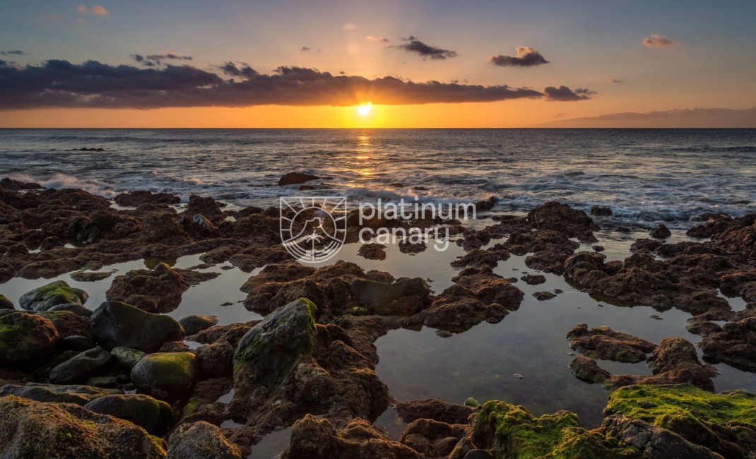 Nouvelle construction - Plot - Palm Mar - Santa Cruz de Tenerife