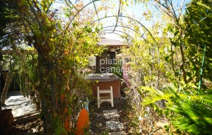 Revente - house - Granadilla de Abona - Santa Cruz de Tenerife