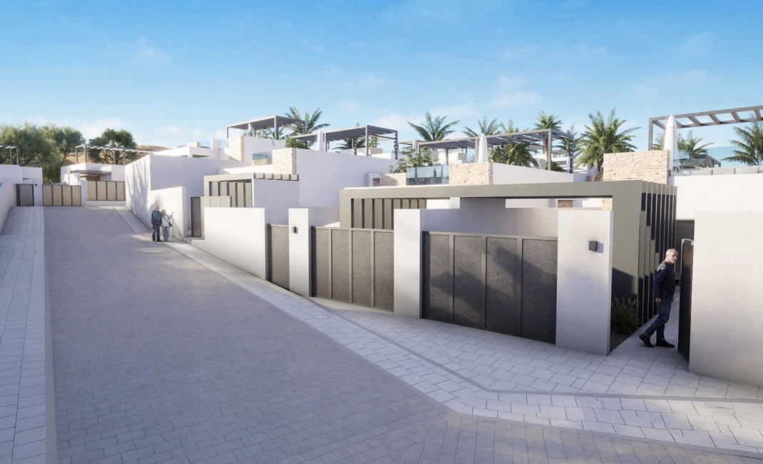 New Build - Villa - Vera