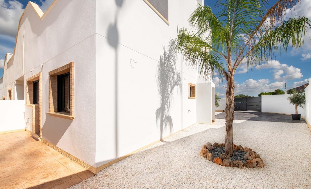 Nouvelle construction - Apartement - Cox