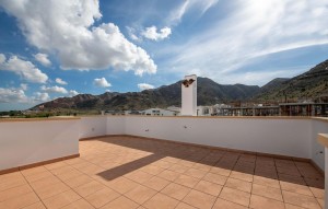 Nouvelle construction - Apartement - Cox