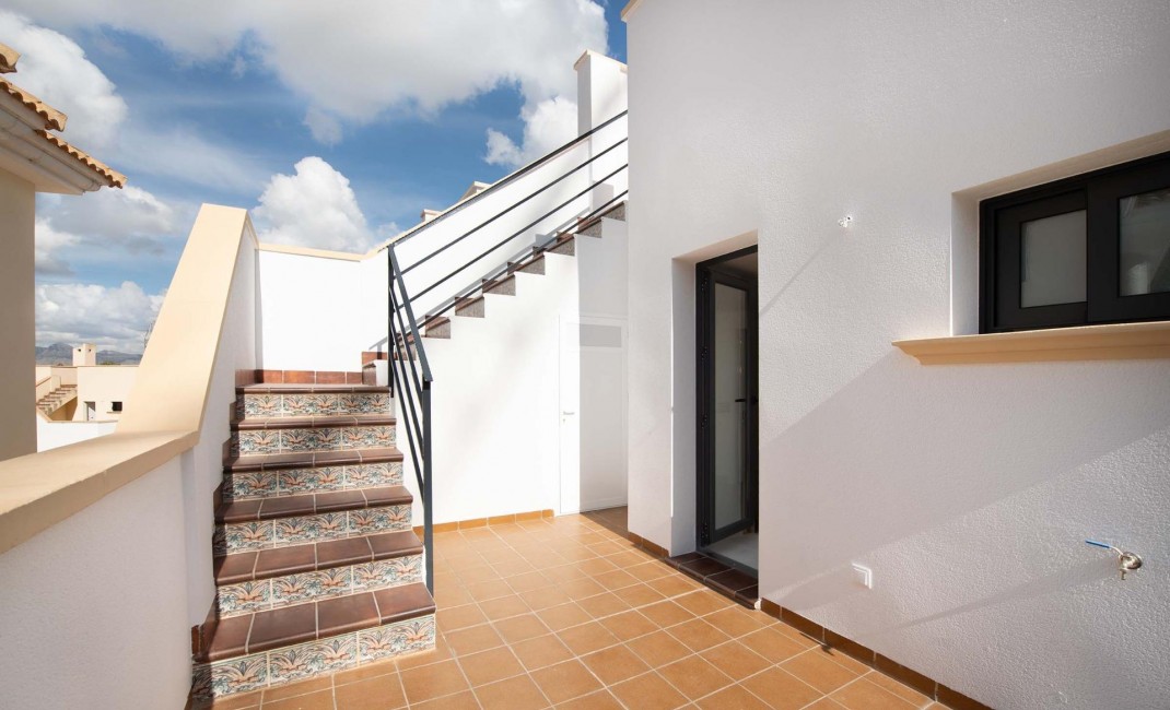 Nouvelle construction - Apartement - Cox
