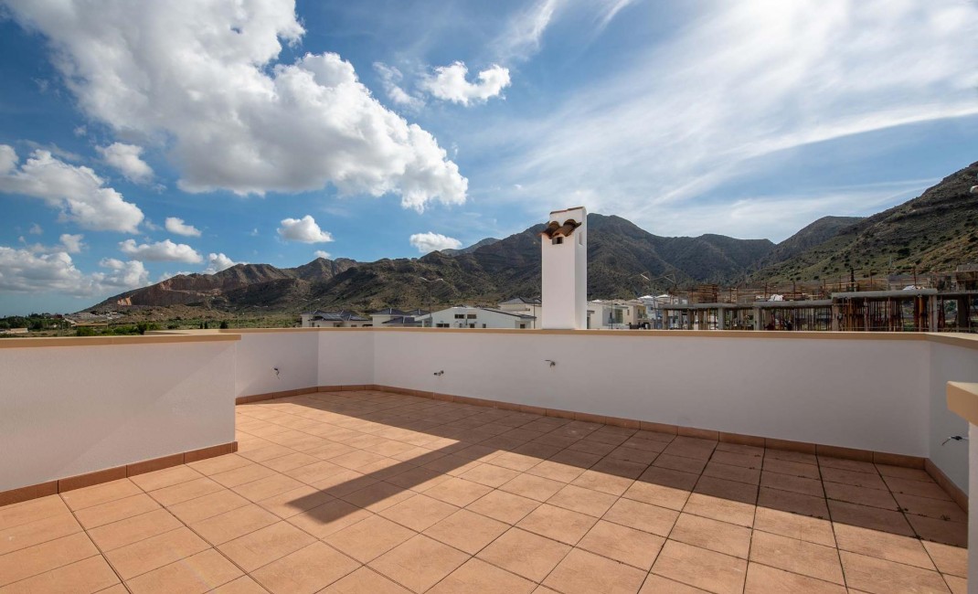 Nouvelle construction - Apartement - Cox