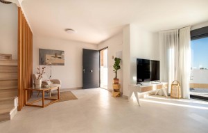 Nouvelle construction - Apartement - Cox