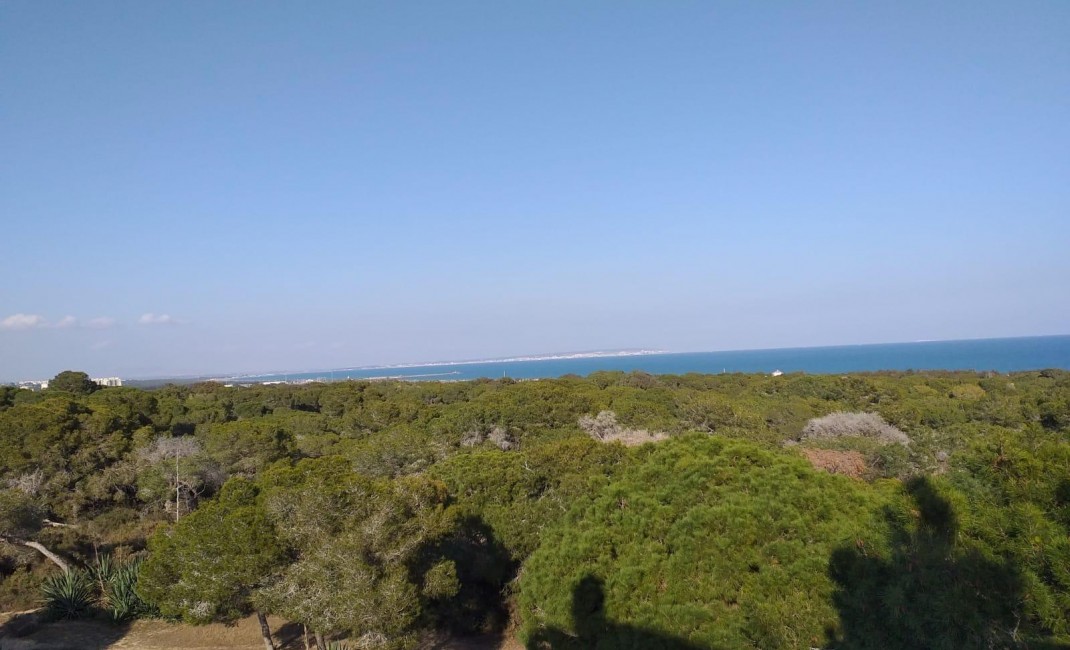 Nouvelle construction - Appartement - Guardamar del Segura - guardamar del segura