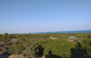 Nouvelle construction - Appartement - Guardamar del Segura - guardamar del segura