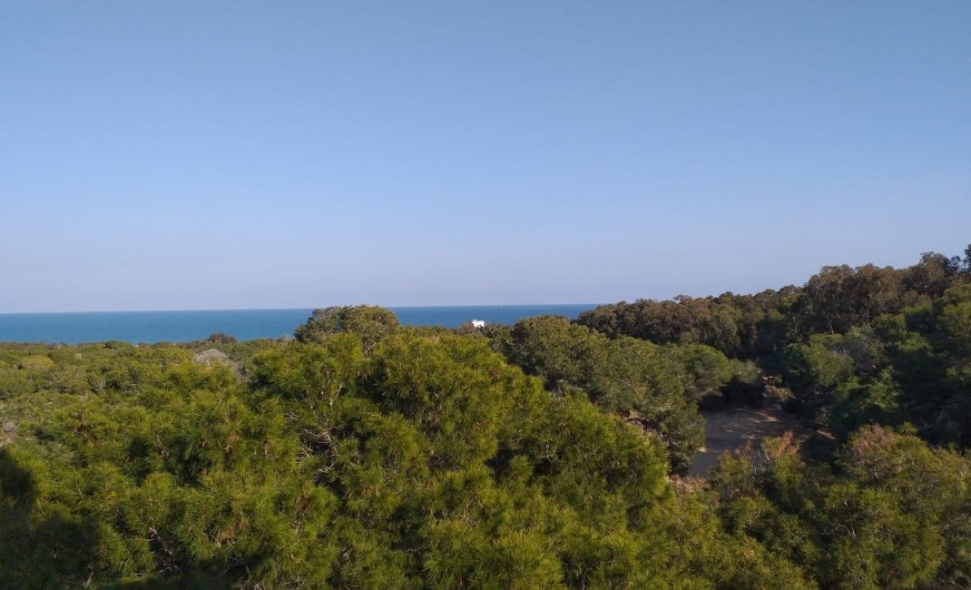 Nouvelle construction - Appartement - Guardamar del Segura - guardamar del segura
