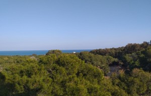 Nouvelle construction - Appartement - Guardamar del Segura - guardamar del segura