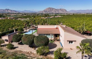Revente - Chalets Independientes - Alicante - Jacarilla
