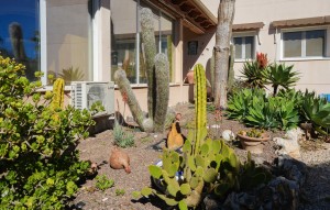 Revente - Chalets Independientes - Alicante - Jacarilla