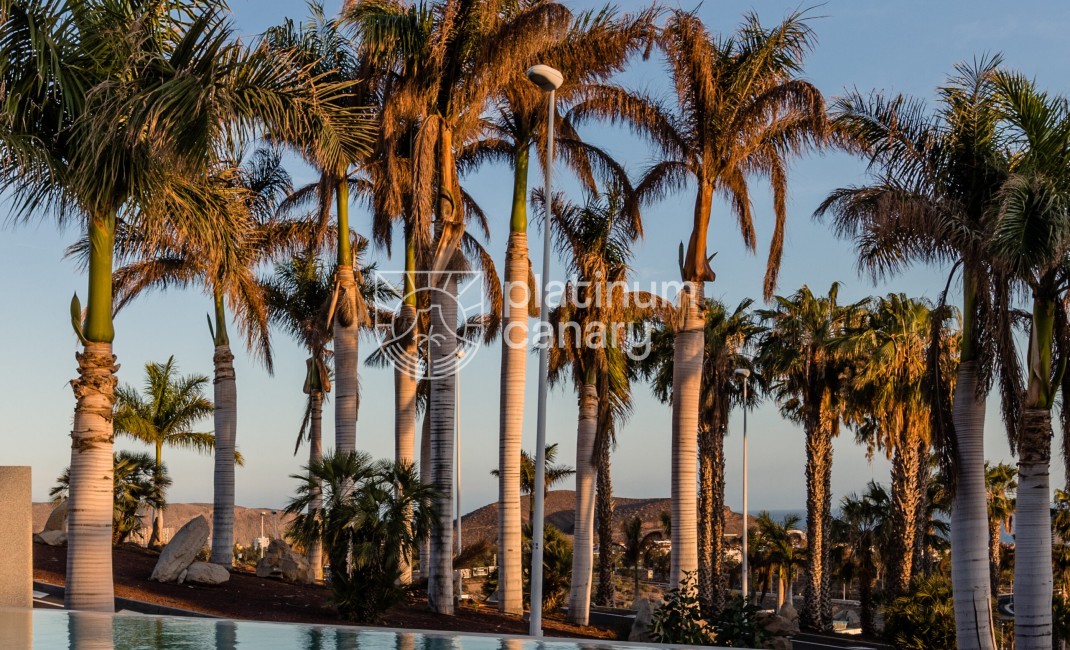 Revente - Villa - Adeje - Santa Cruz de Tenerife