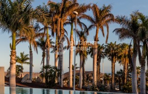 Revente - Villa - Adeje - Santa Cruz de Tenerife