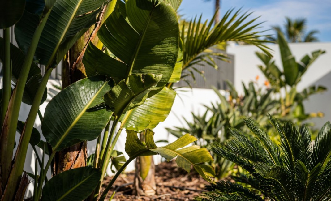 Revente - Villa - Calpe - Empedrola