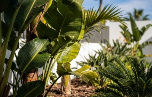 Revente - Villa - Calpe - Empedrola