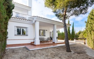 Nouvelle construction - Semidetached - Fuente Álamo