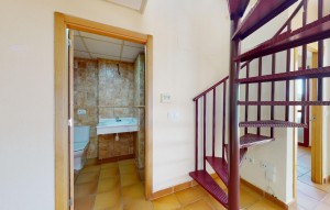 Nouvelle construction - Appartement - Archena
