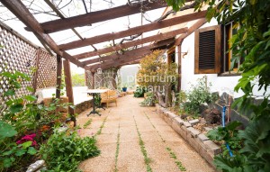 Revente - house - Vilaflor - Santa Cruz Tenerife