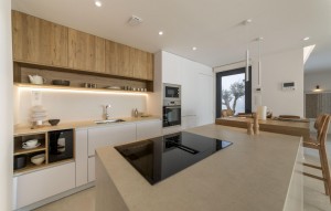 Nouvelle construction - Villa - BAÑOS Y MENDIGO