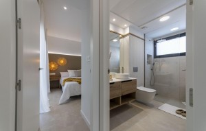 Nouvelle construction - Villa - BAÑOS Y MENDIGO