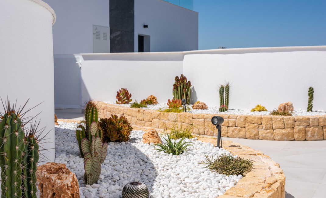 Revente - Apartement - Benijofar - Benijófar