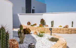 Revente - Apartement - Benijofar - Benijófar