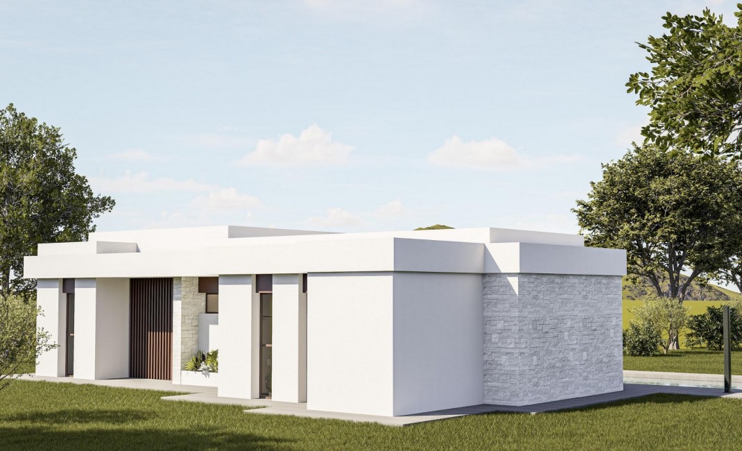 Nouvelle construction - Villa - Pinoso