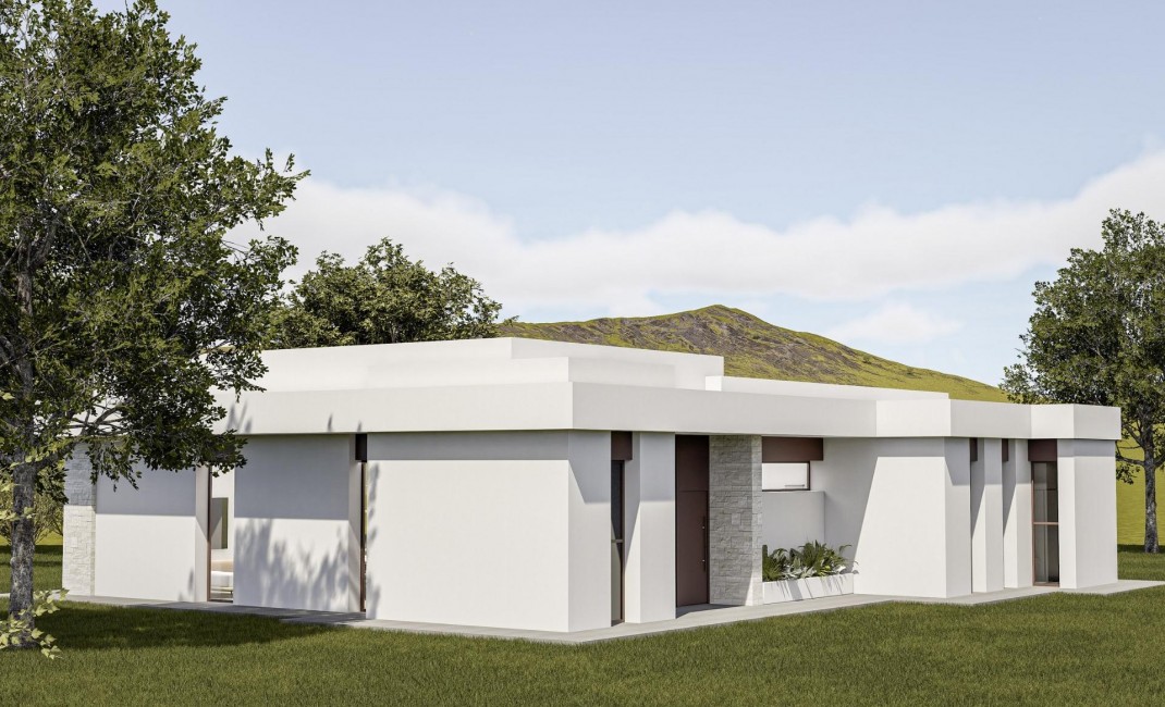 Nouvelle construction - Villa - Pinoso