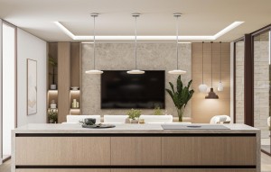 Nouvelle construction - Villa - Pinoso
