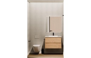 Nouvelle construction - Villa - Pinoso