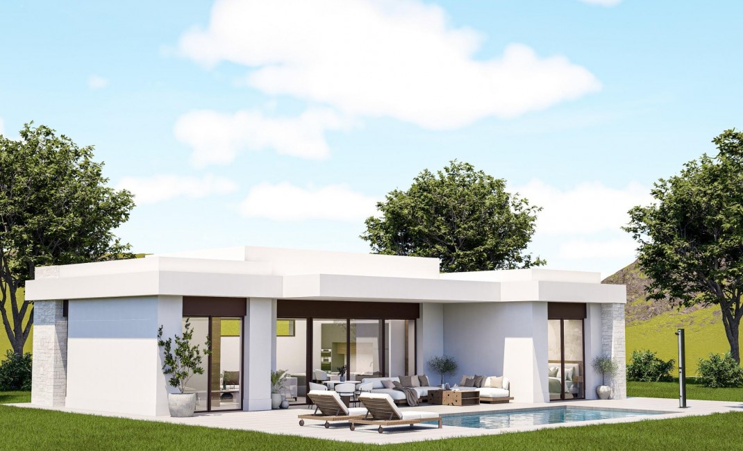 Nouvelle construction - Villa - Pinoso