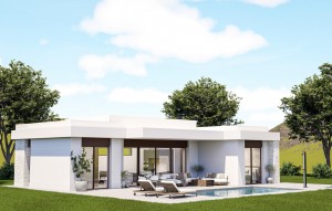 Nouvelle construction - Villa - Pinoso